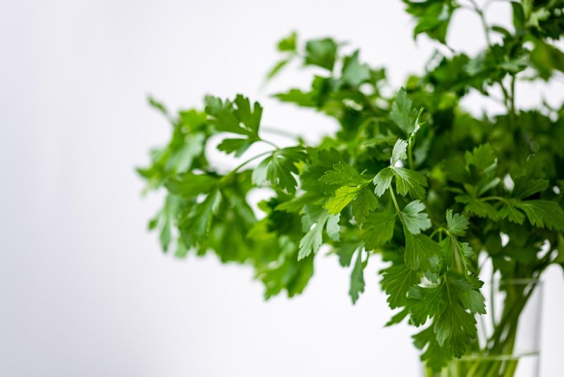 Herb wall gardens